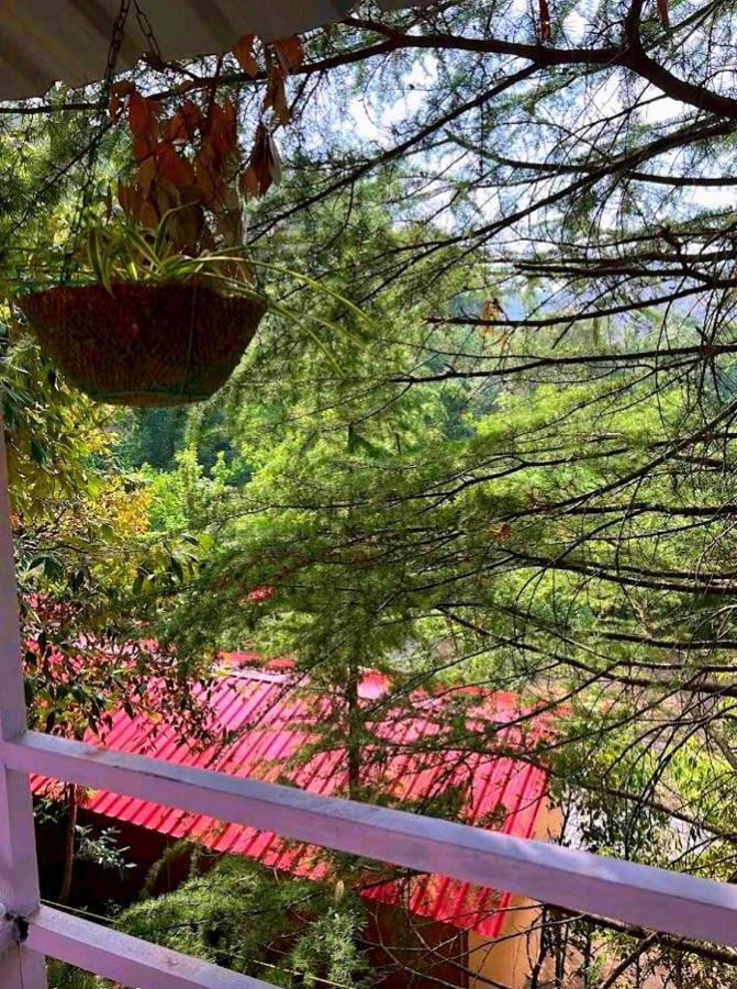 Aamod Resorts Dalhousie ! Luxury Cottage Resort Dış mekan fotoğraf