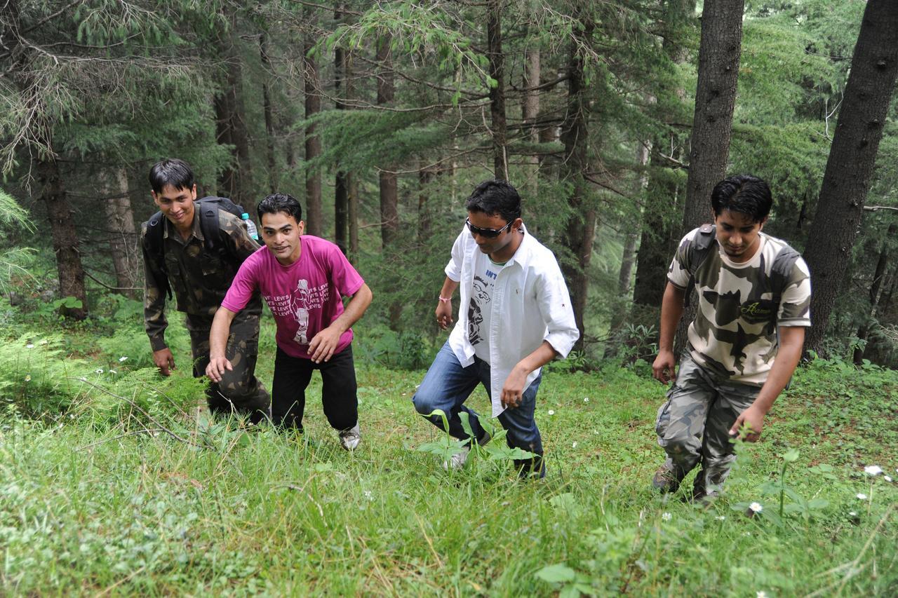 Aamod Resorts Dalhousie ! Luxury Cottage Resort Dış mekan fotoğraf